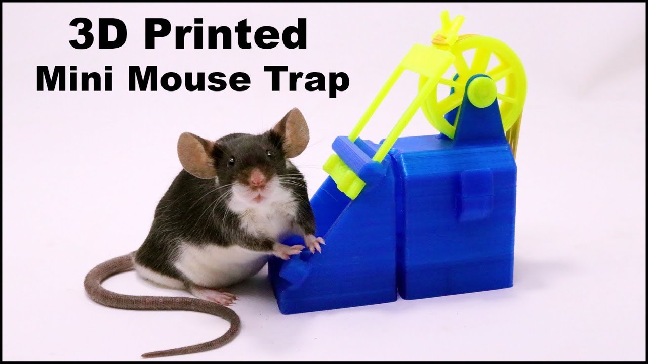 A Crazy Wheel & Rubber Band 3D Printed Mousetrap From Sweden - Mousetrap Monday