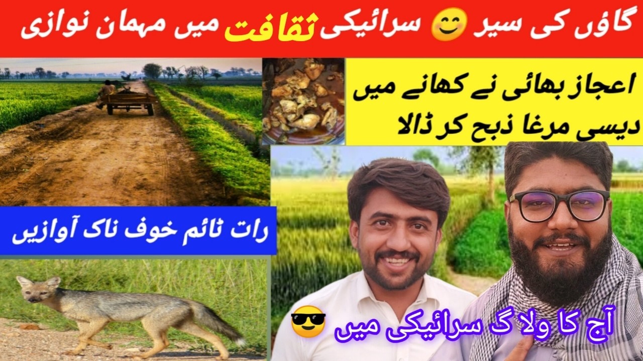 Khubsurat gaon ki sair | Village Life | Pakistani rural life of Punjab | saraiki Culture
