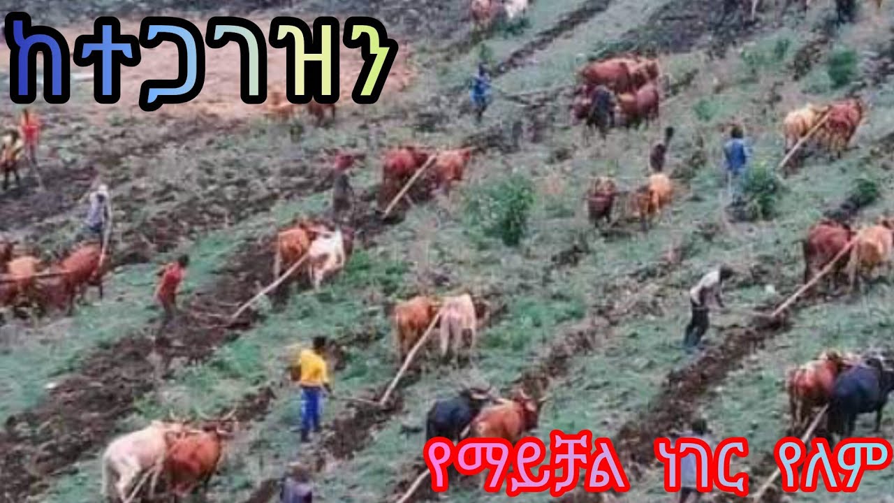 ከተጋገዝን የማይቻል ነገር የለም እና እንተጋገዝ እንድ እንሁም
