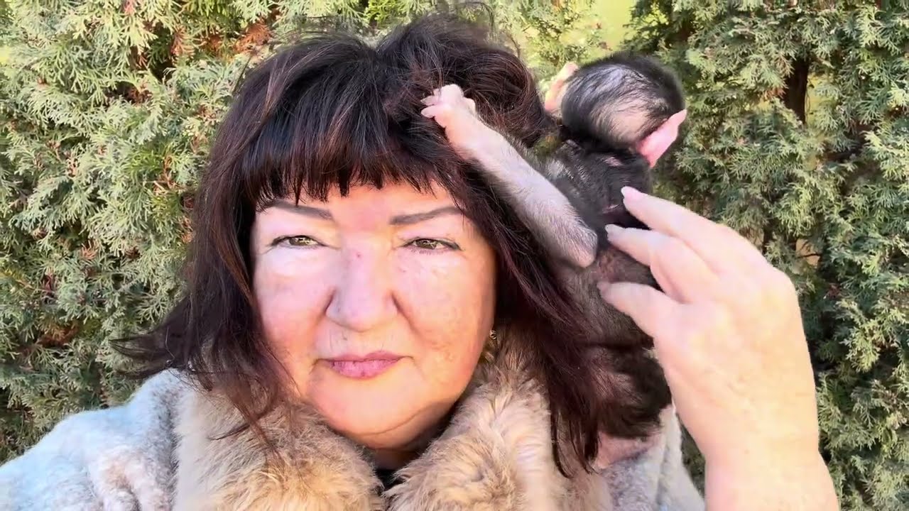 Николь не отпускает меня ни на минуту,она довольна только тогда,когда сидит вцепившись мне в волосы!