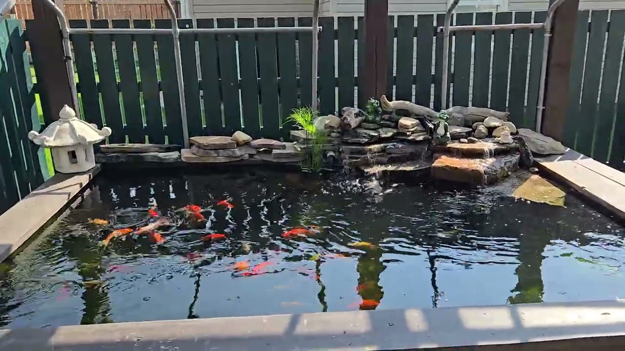 Gekoi pond in Alberta Canada 