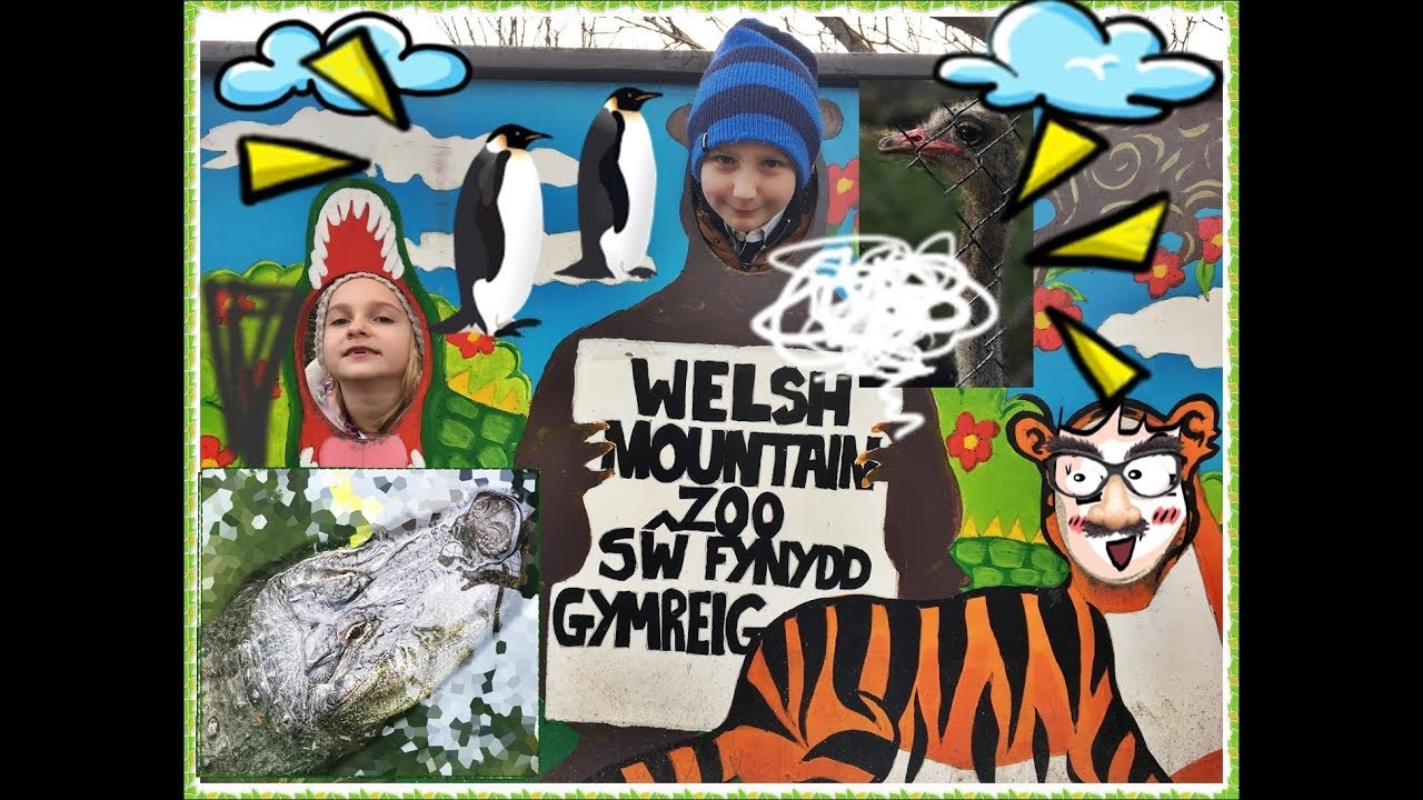 Family trip to Mountain Zoo - Kids React - Day out at the ZOO