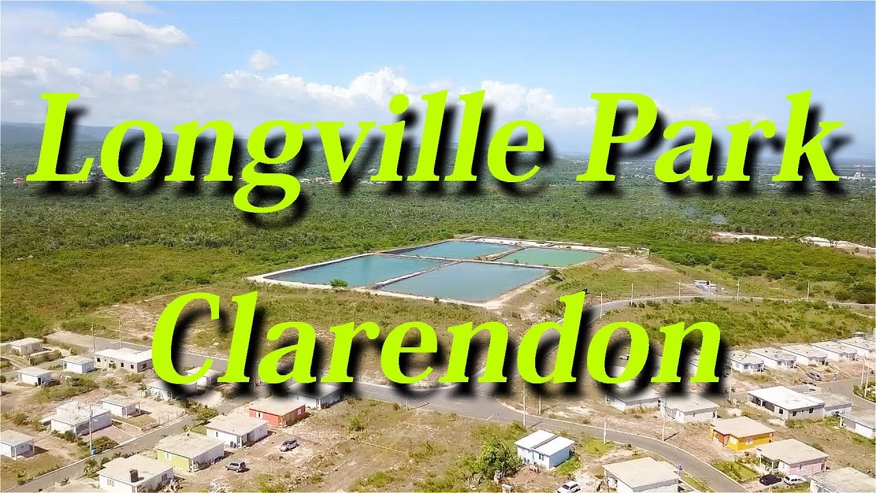 Longville Park Clarendon Jamaica | VLOG #70