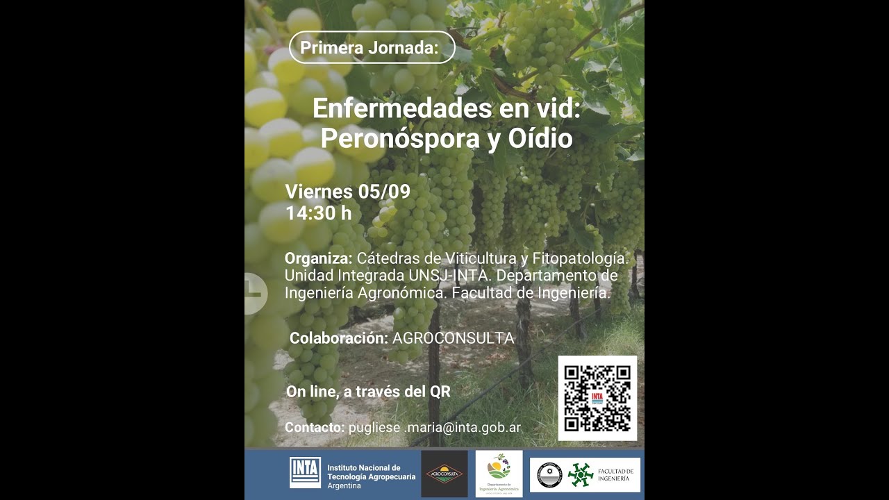 Enfermedades en Vid: Peronóspora Y Oídio