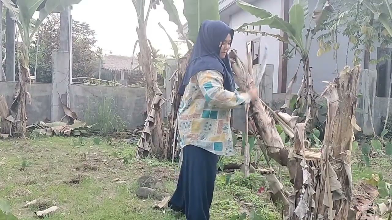 Tebang tanaman di rumah kakak ipar