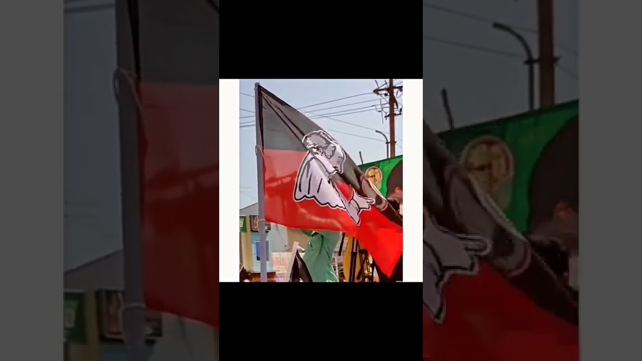 AIADMK.🇾🇪.Flag Mass Video .🇾🇪.#aiadmk #eps #whatsappstatus #edappadipalanisamy #admknews #admk #flag