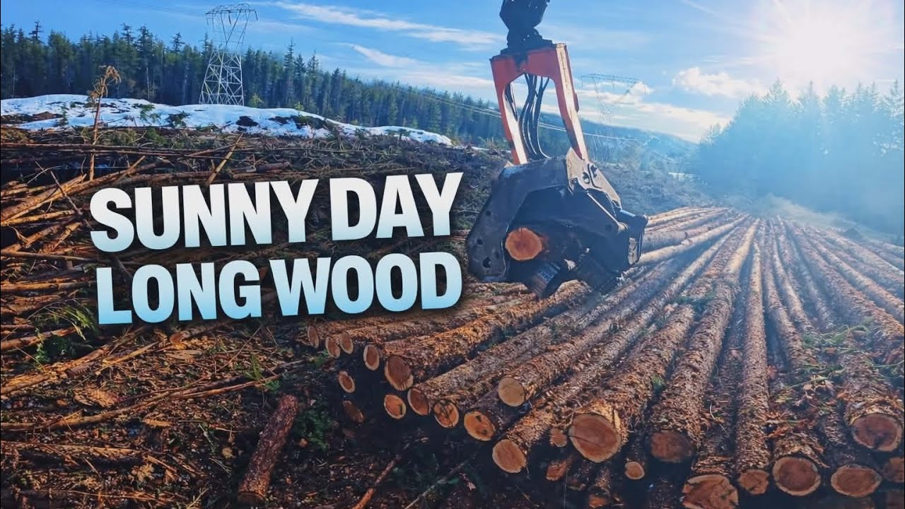 The Sun Came Out! | Daylight Production Logging After the Storm