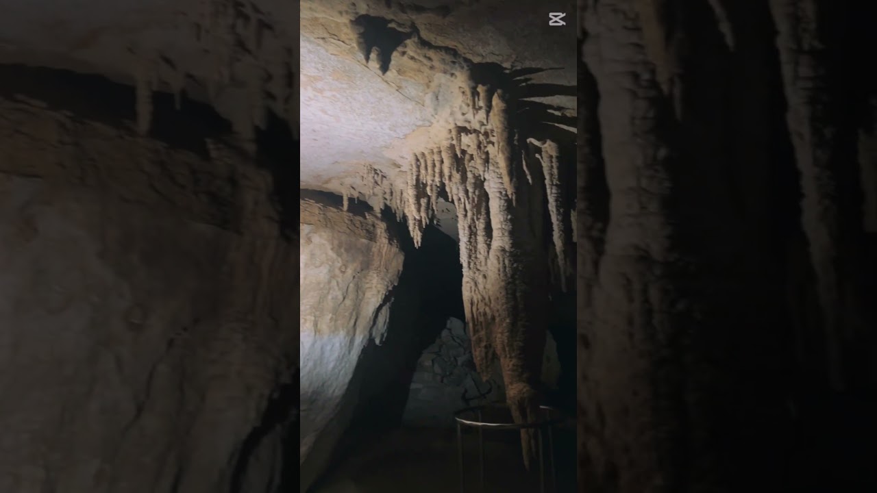 New Zealand caves 