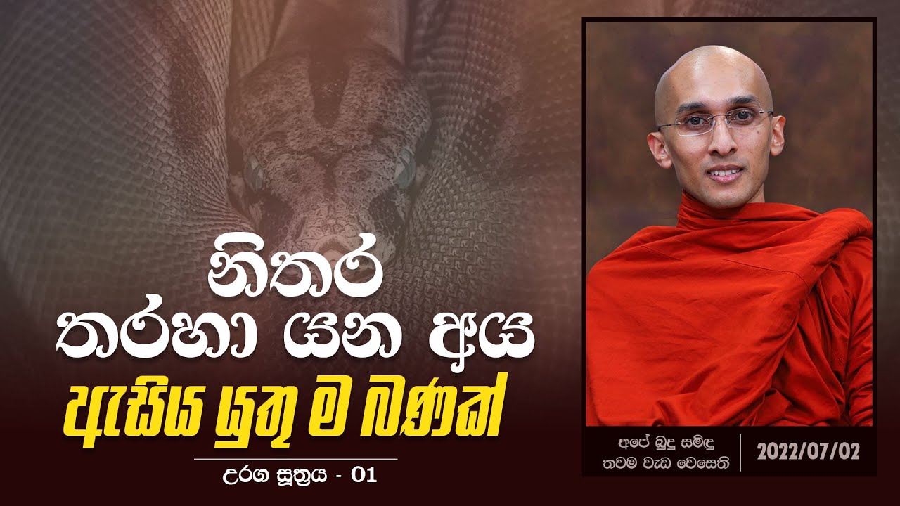 02) නිතර තරහා යන අය ඇසිය යුතු ම බණක් (උරග සූත්‍රය 01) | අපේ බුදු සමිඳු තවම වැඩ වෙසෙති