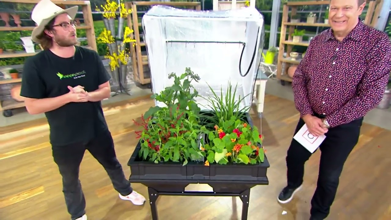 Vegepod Self Watering Raised Garden Bed with Cover on QVC
