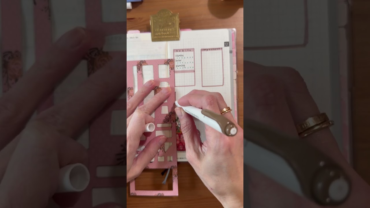 Hobonichi Weeks PWM #pwm #planwithme #hobonichi #hobonichiweeks #hobonichiplanner #stickers #asmr