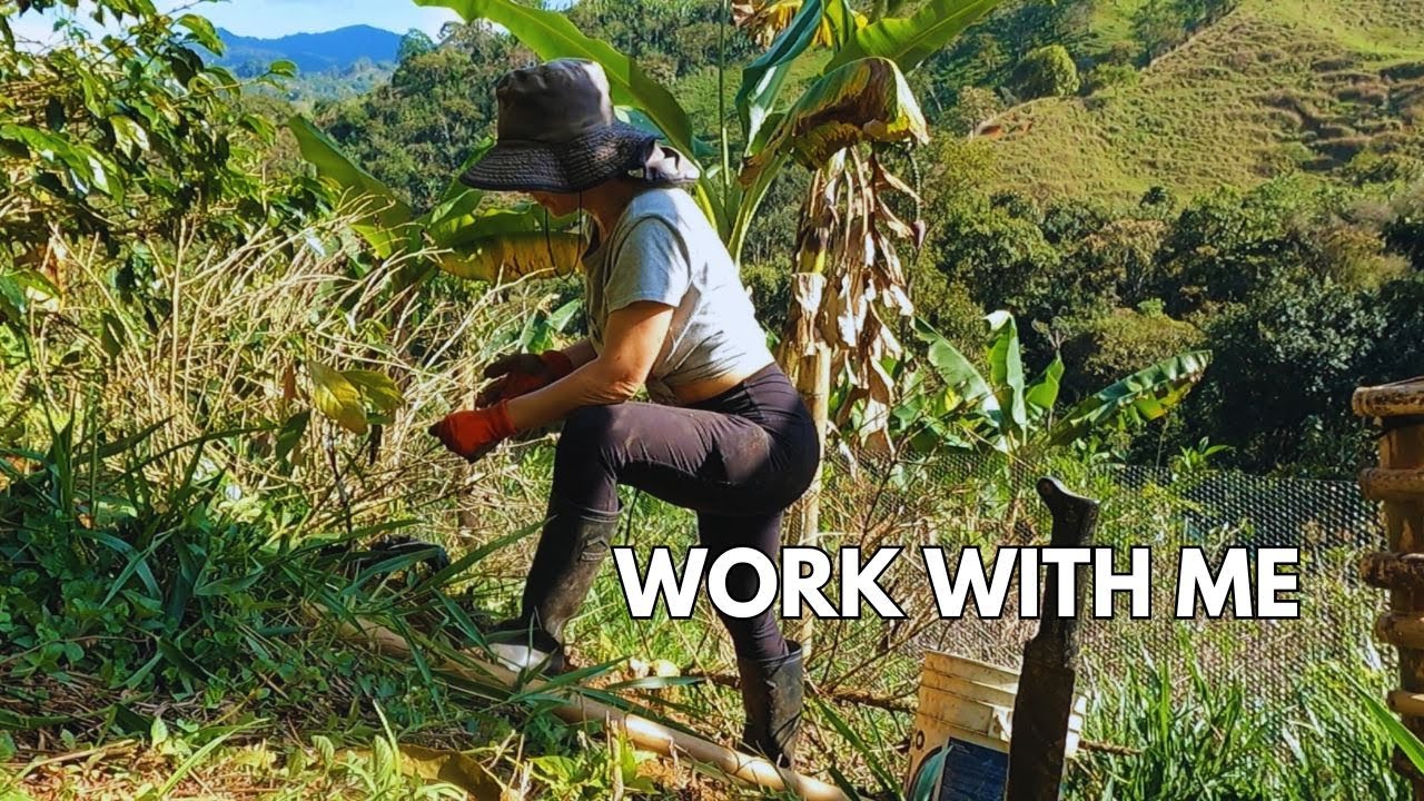 A Simple Slow Living Routine | Daily Life in the Colombian Mountains| Gardening & Cooking