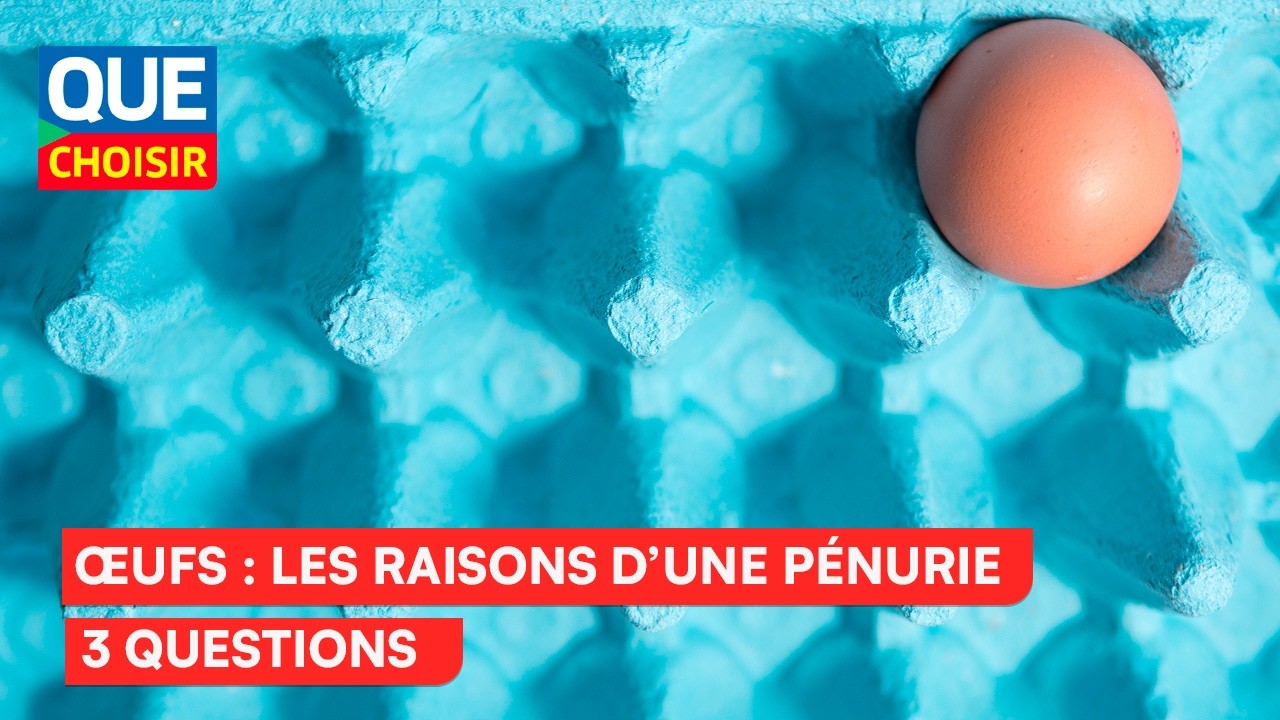 &OElig;ufs &ndash; Les raisons d&rsquo;une p&eacute;nurie ( 3 Questions) I UFC Que Choisir