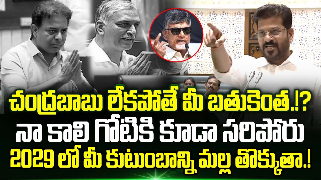 చంద్రబాబు లేకపోతే మీ బతుకెంత.!? Cm Revanth Reddy Strong Warning To KTR And Harish Rao In Assembly