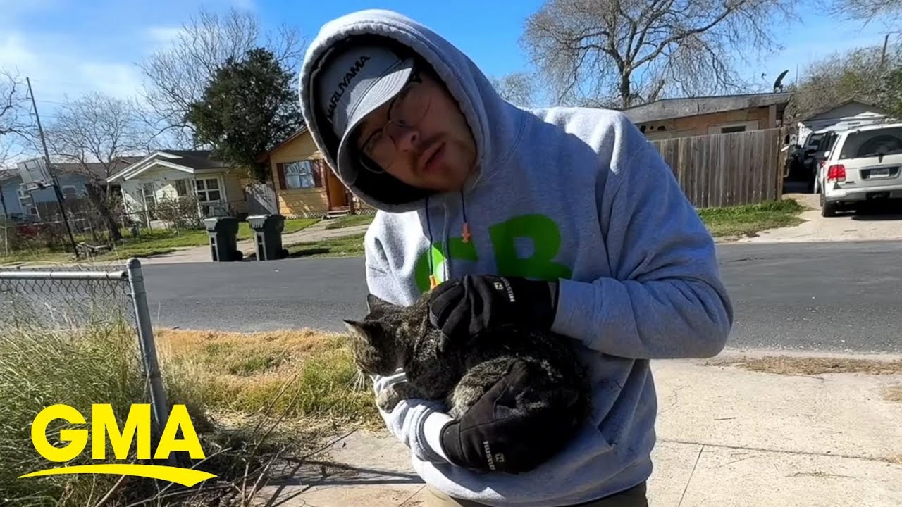 Landscaper raises over $180K for cat shelter that saved injured feline