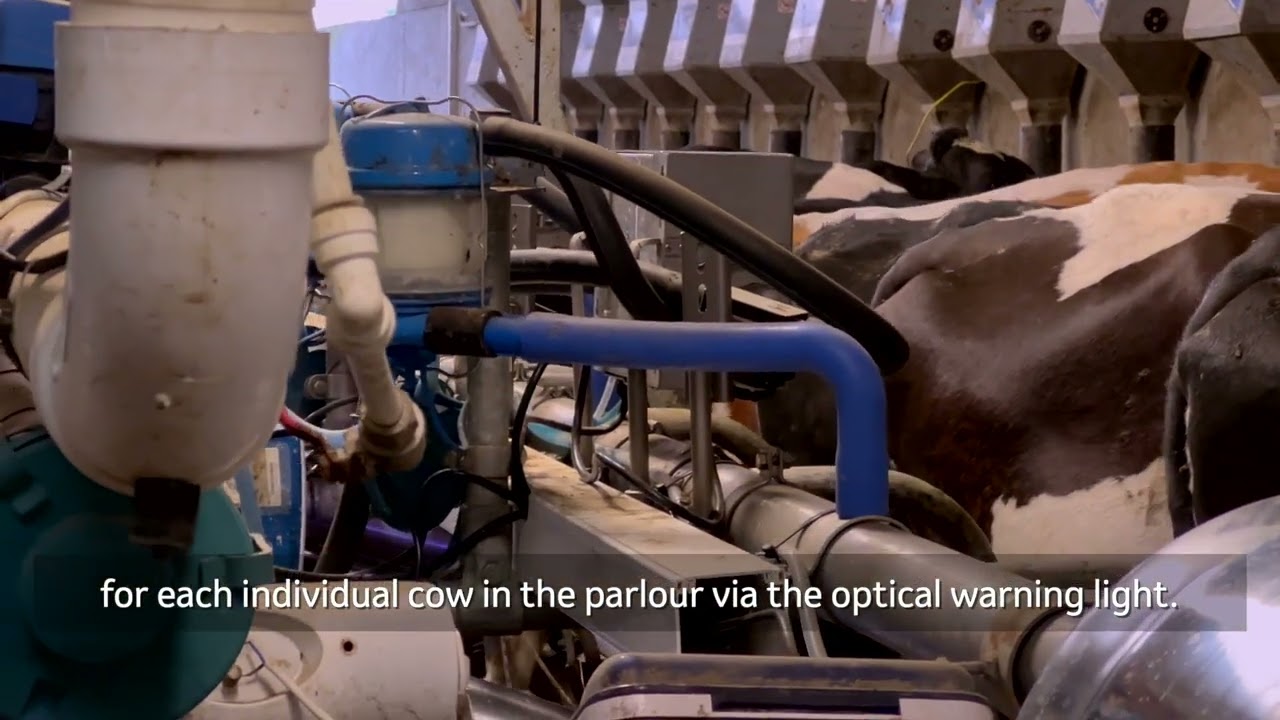 How does SenseHub&trade; Dairy Milk Monitoring work?