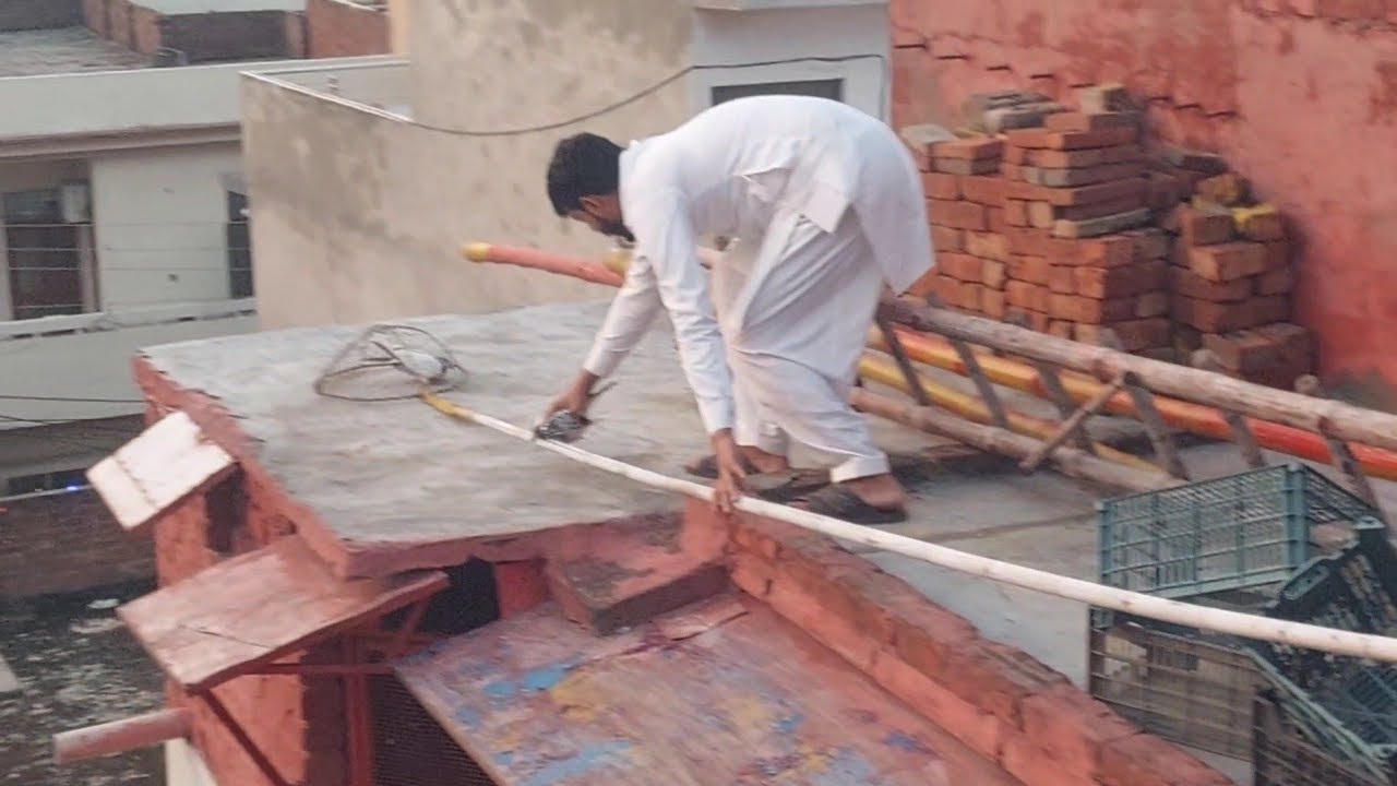 Breeder Cage Sy Kabootar Pakra | Hashim Mahmood Pigeons 