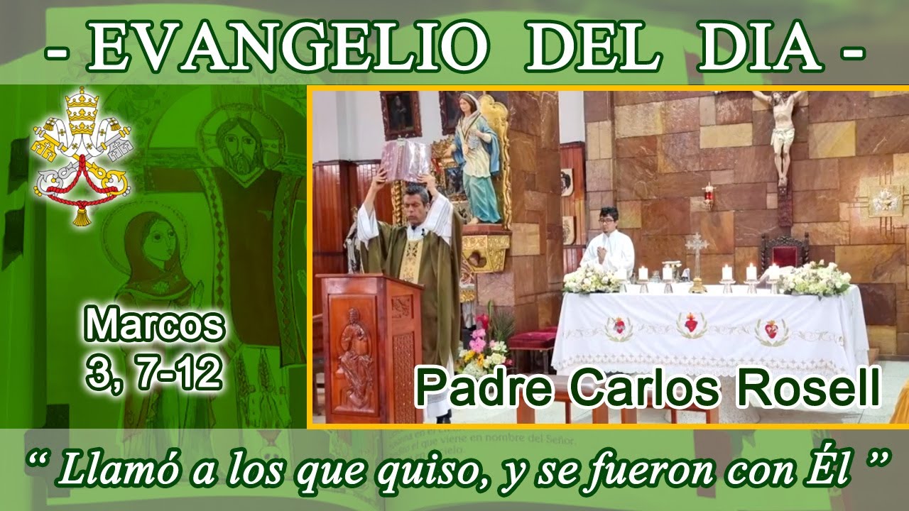 Evangelio día Viernes 23/01/26 - Padre Carlos Rosell - Marcos 3, 7-12 - Institución de los doce.