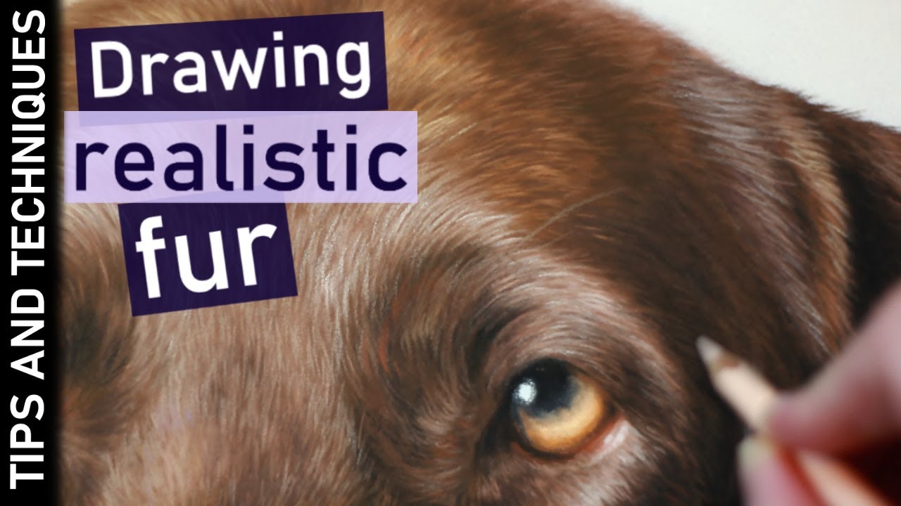 How to make your pastel drawings even more realistic | Chocolate Labrador drawing
