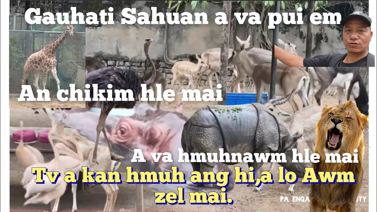 A Va hmuhnawm tak..Gauhati Sahuan a pui mep mep hle mai..Nungcha an nei tha,Tlawhtu nen aw.