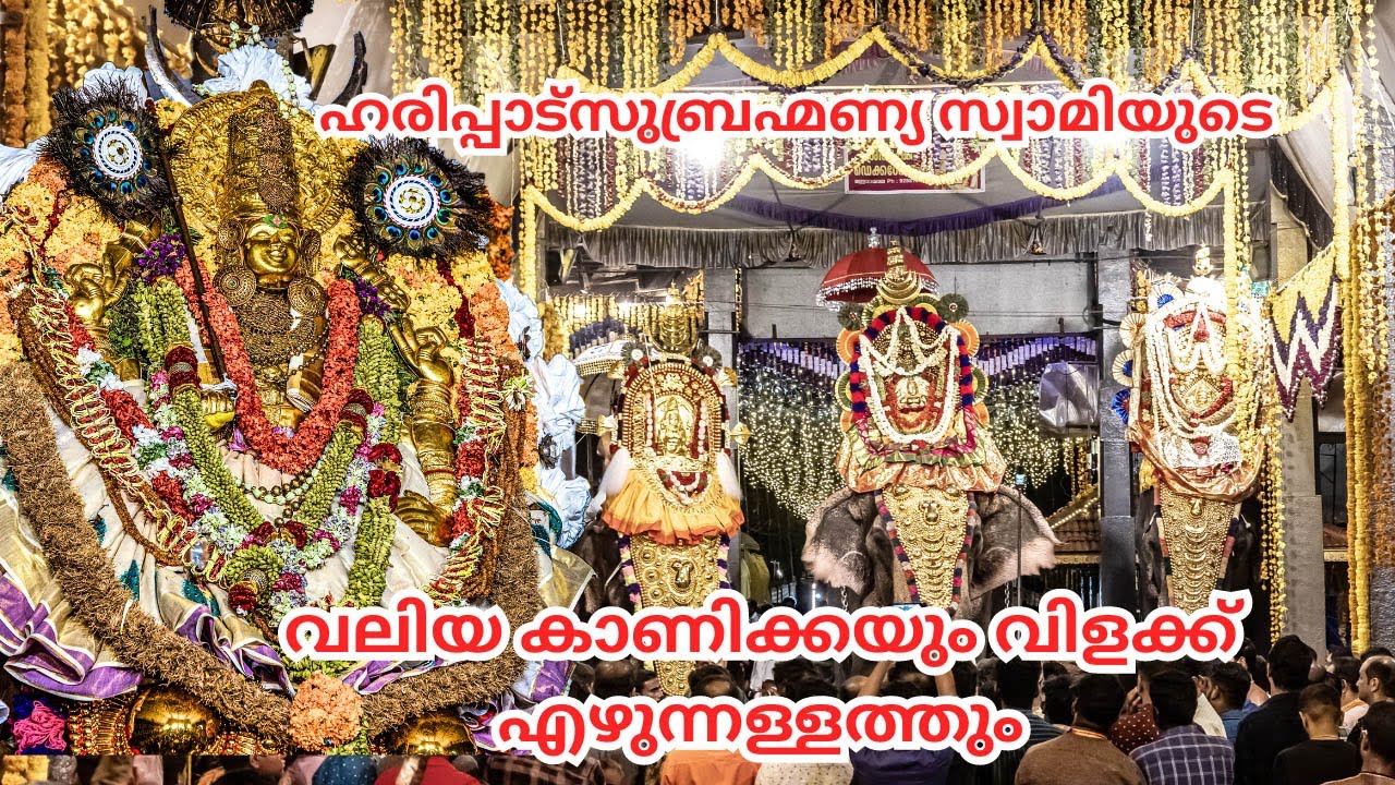 ഹരിപ്പാട്ടെ വലിയ കാണിക്കയും വിളക്ക് എഴുന്നള്ളത്തും | Haripad Temple Festival | Festival 2023