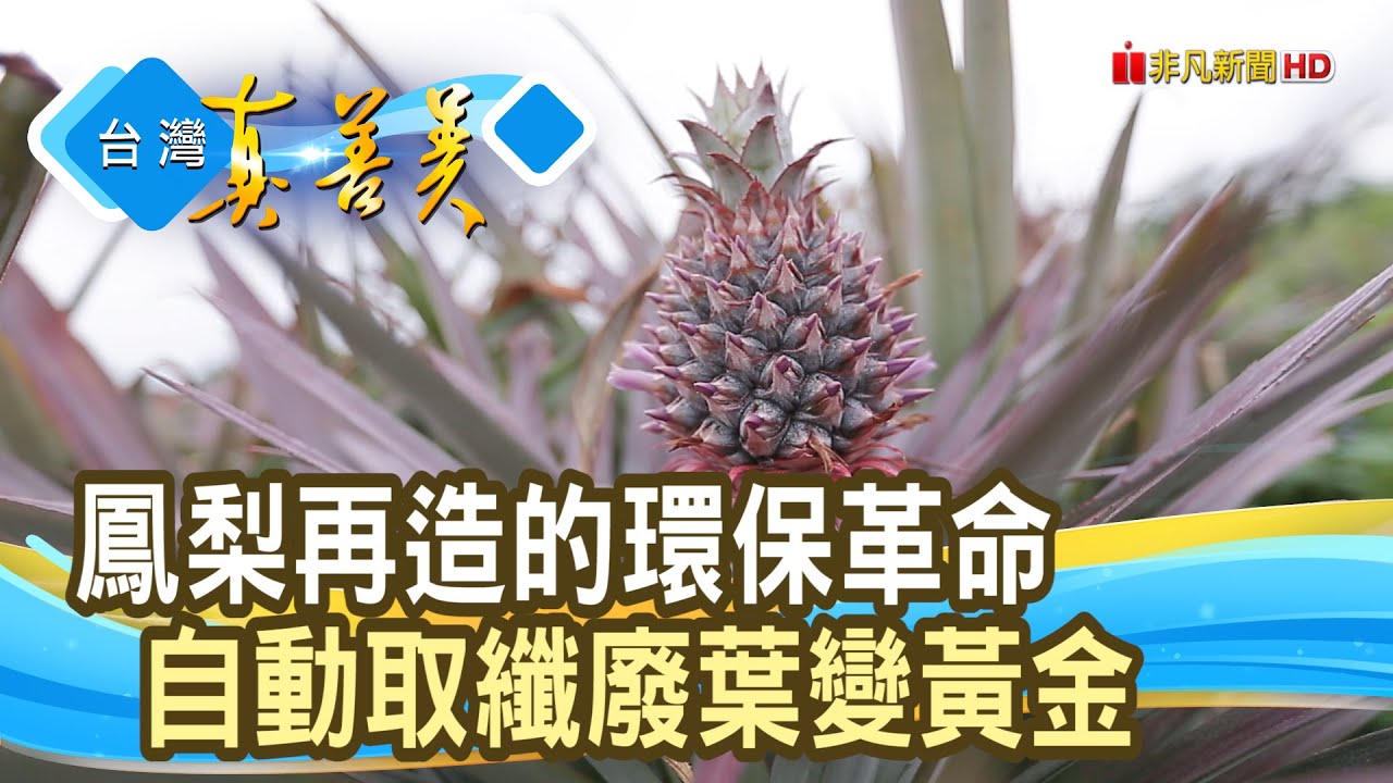 “鳳梨葉”變身“時尚環保材”｜工研院/屏東高樹鄉農會/屏東九如鄉農會/世堡紡織/NUPELLE-素食皮革｜【台灣真善美】2025.06.29