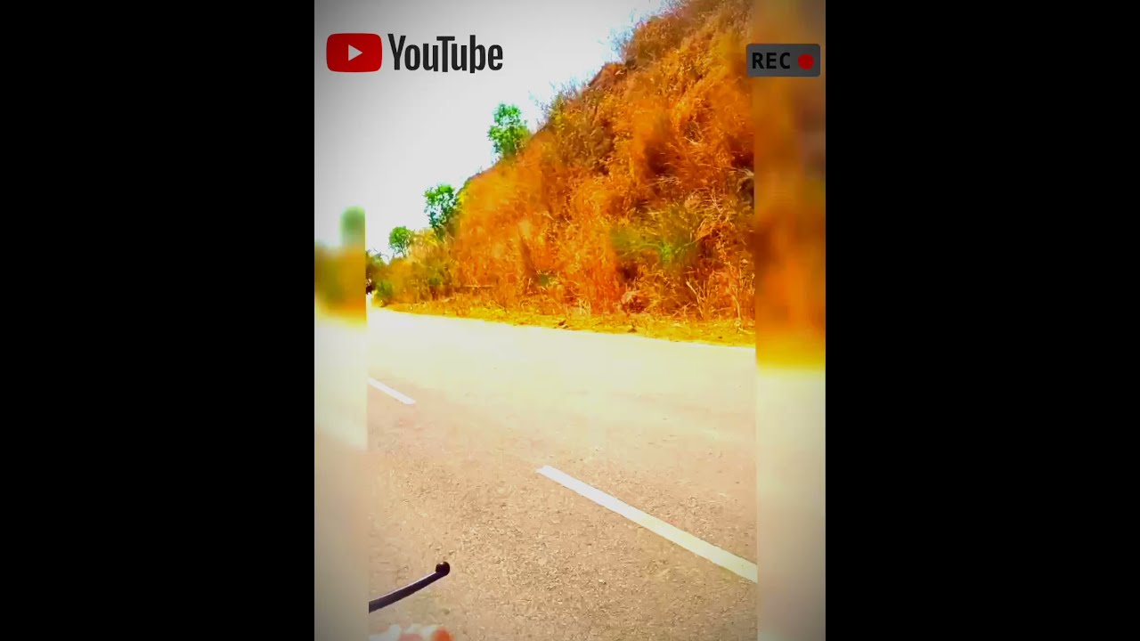 Vlog Video Chirimiri 2021
