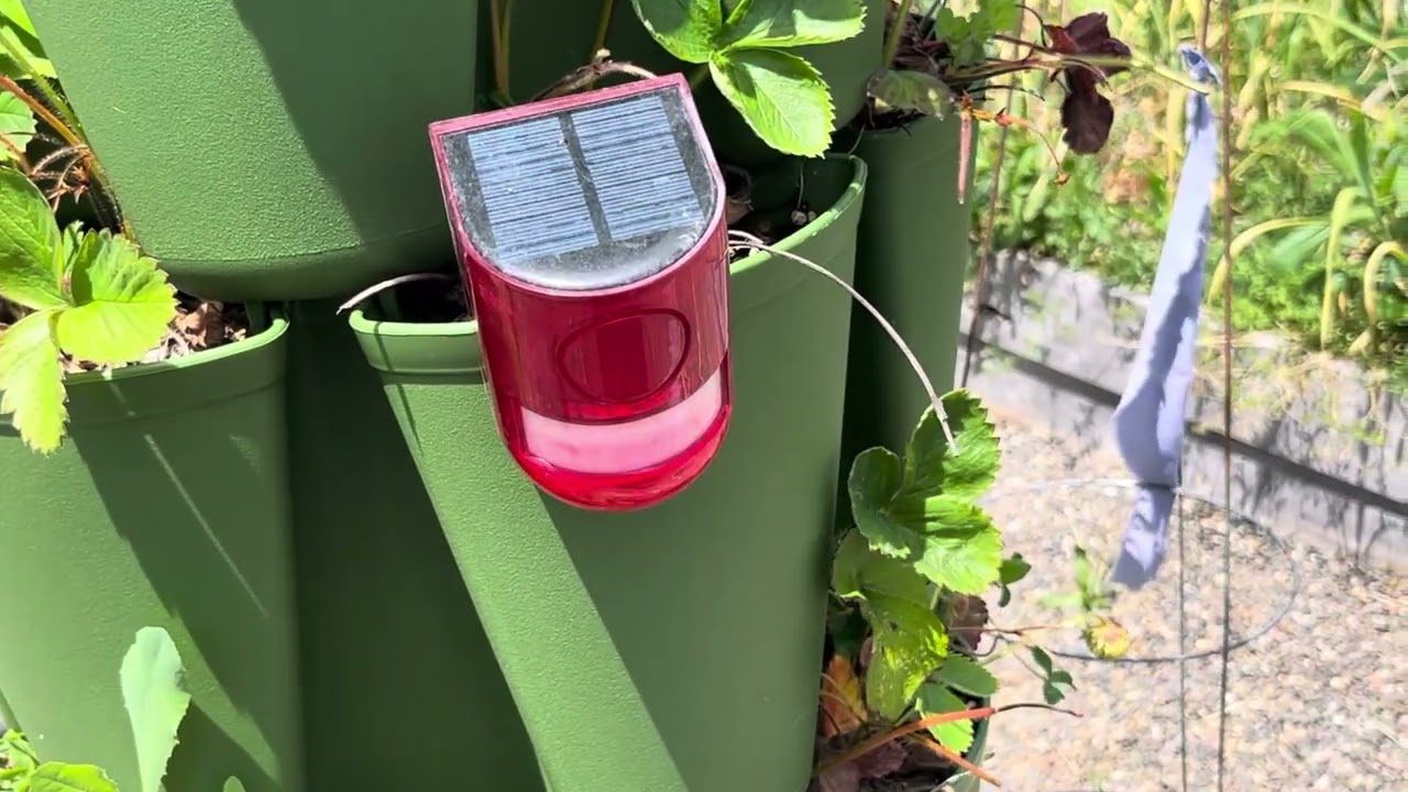 Solar Alarm! #solar #security #garden