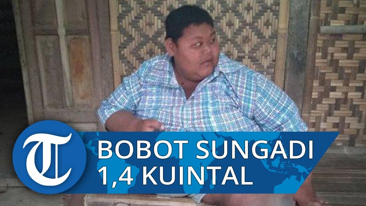 Lahir 4,8 Kg Kini Bobot Sungadi 1,4 Kuintal, Makan Sehari 9 Kali namun Tetap Rajin Bekerja