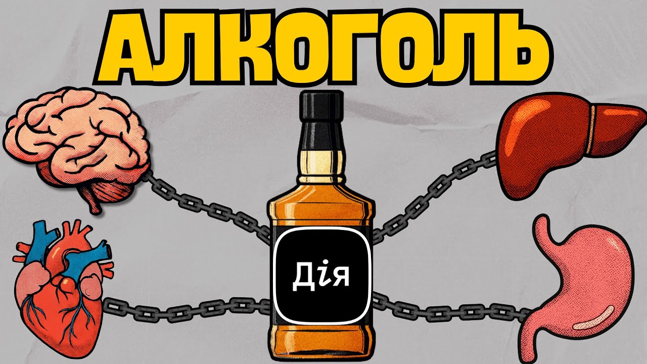 Як алкоголь впливає на ваше тіло? Метаболізм алкоголю