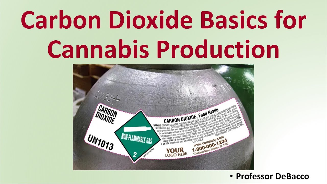 Carbon Dioxide Basics for Cannabis Production