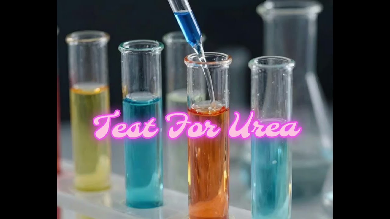 Test for Urea #Urine Sample*11