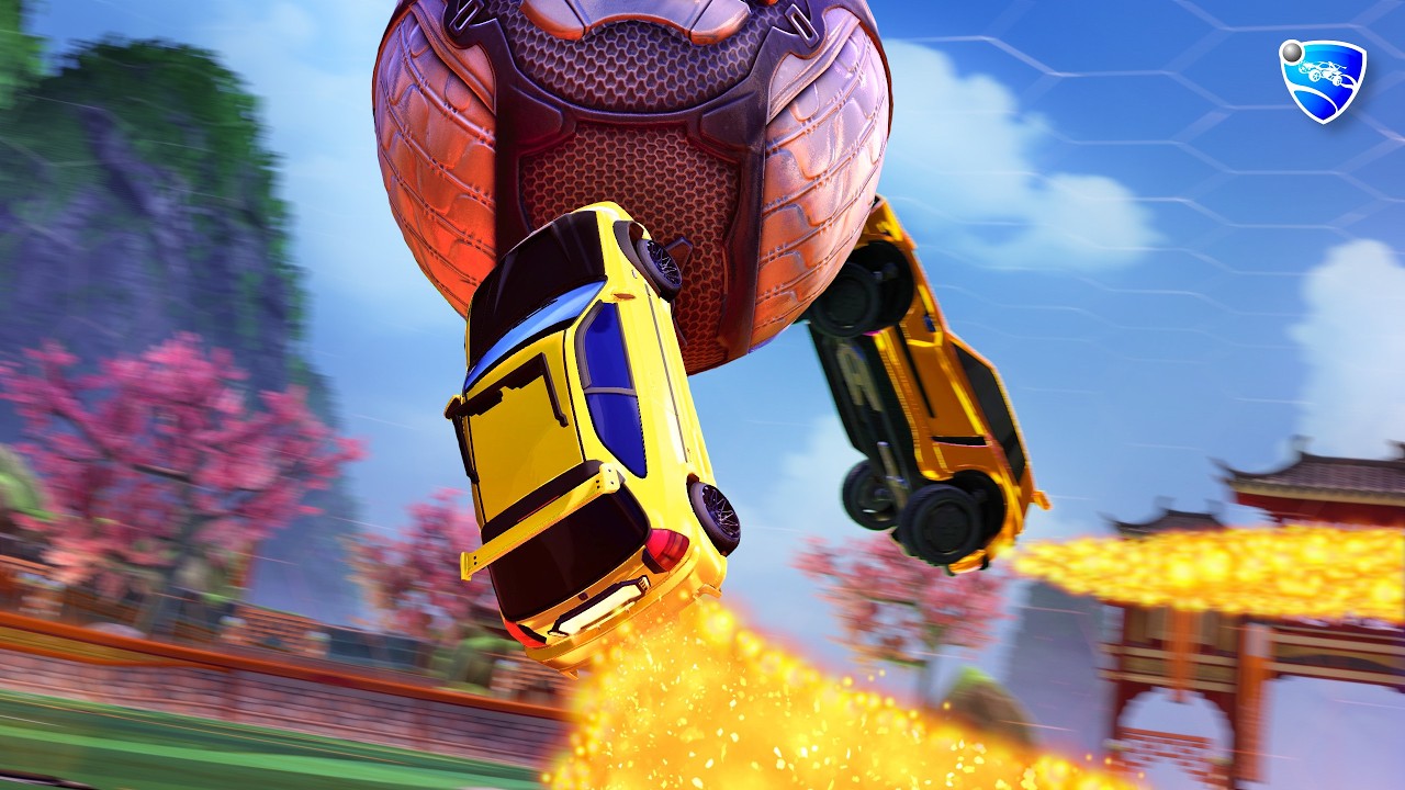 So, apparently this is how pros play Rocket League.