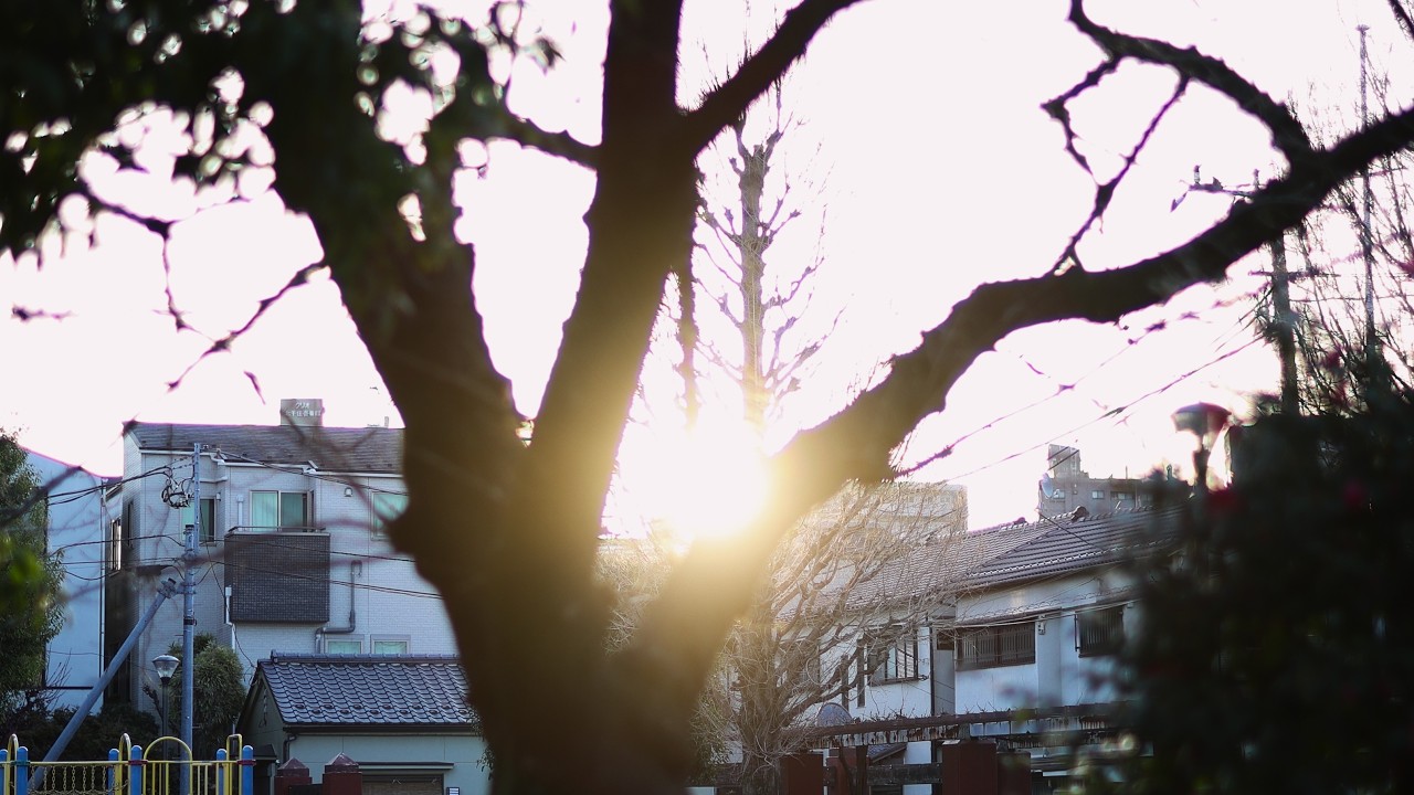 EOS R5Mk2+RF45mmF1. 2 (1.6クロップで72mm )