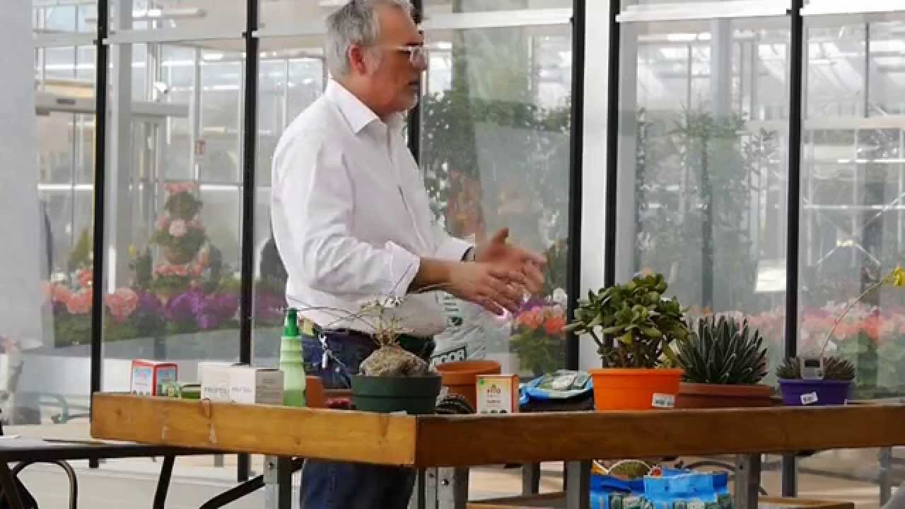 Il terriccio per le piante grasse