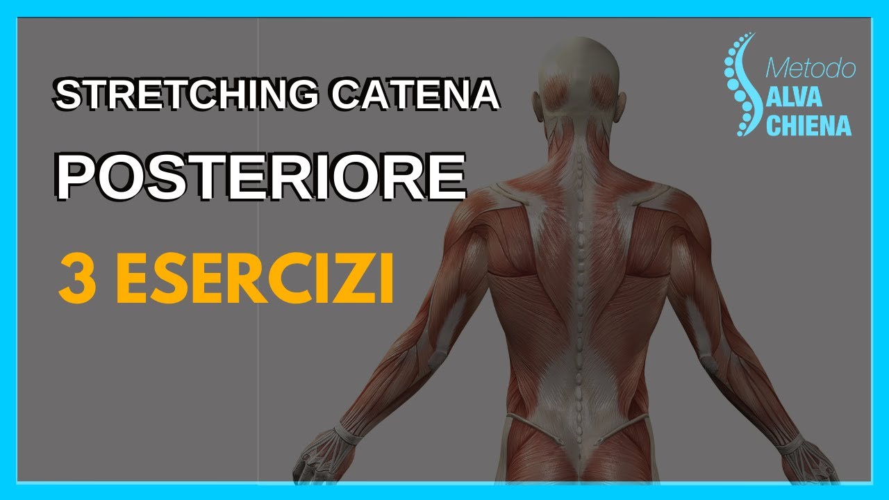 3 Esercizi per allungare la CATENA Muscolare POSTERIORE