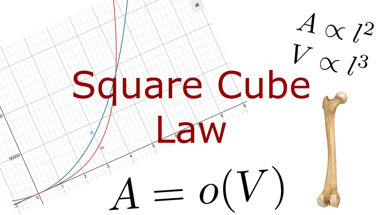The Limiter of Life (Square Cube Law explained)