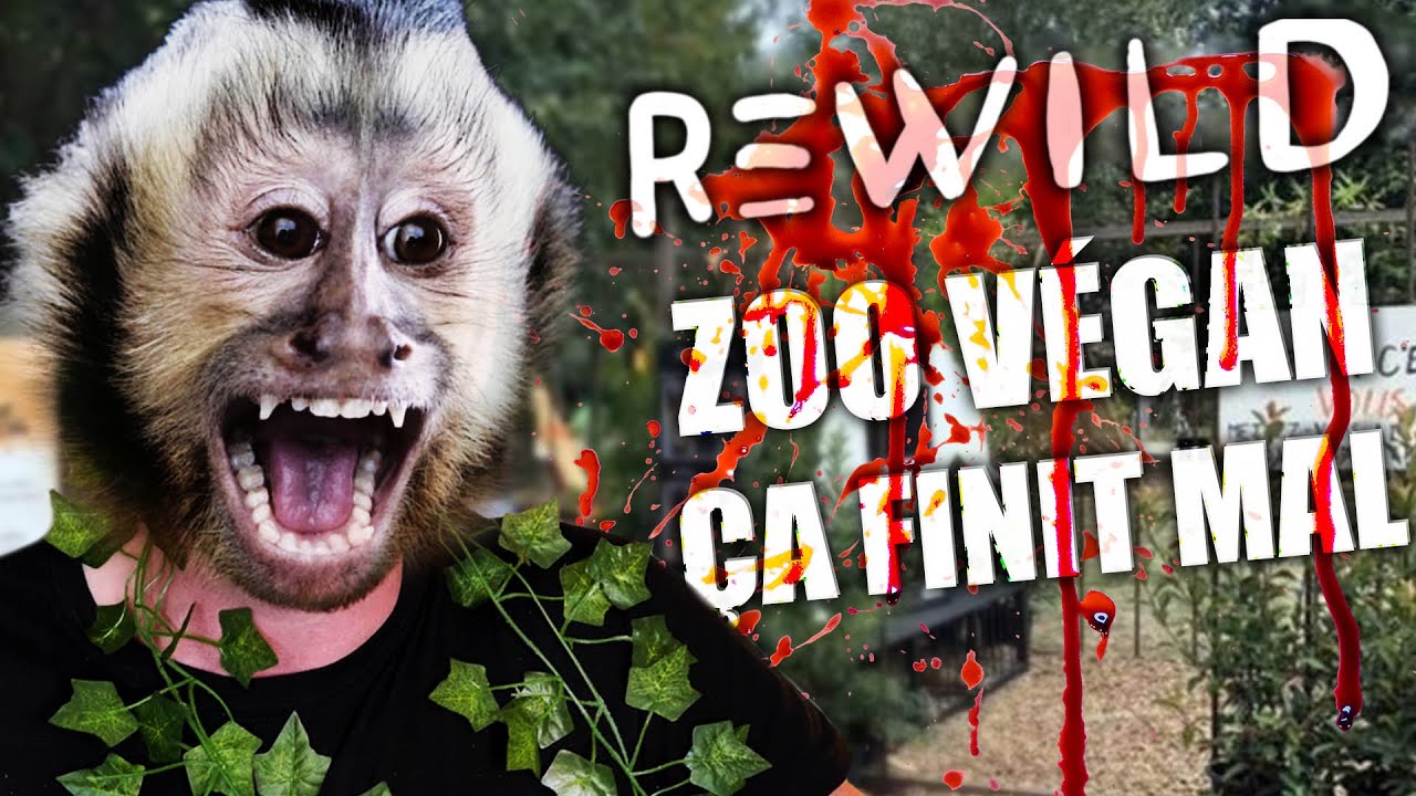 premier zoo v&eacute;gan et &ccedil;a finit mal #Rewild
