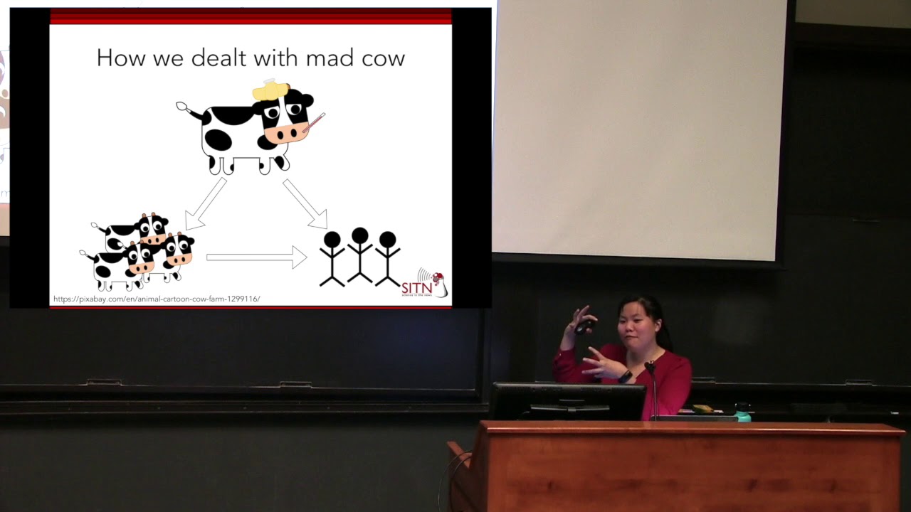 High-Stake Steaks: the science of prions, Mad Cow, and other neurologic diseases