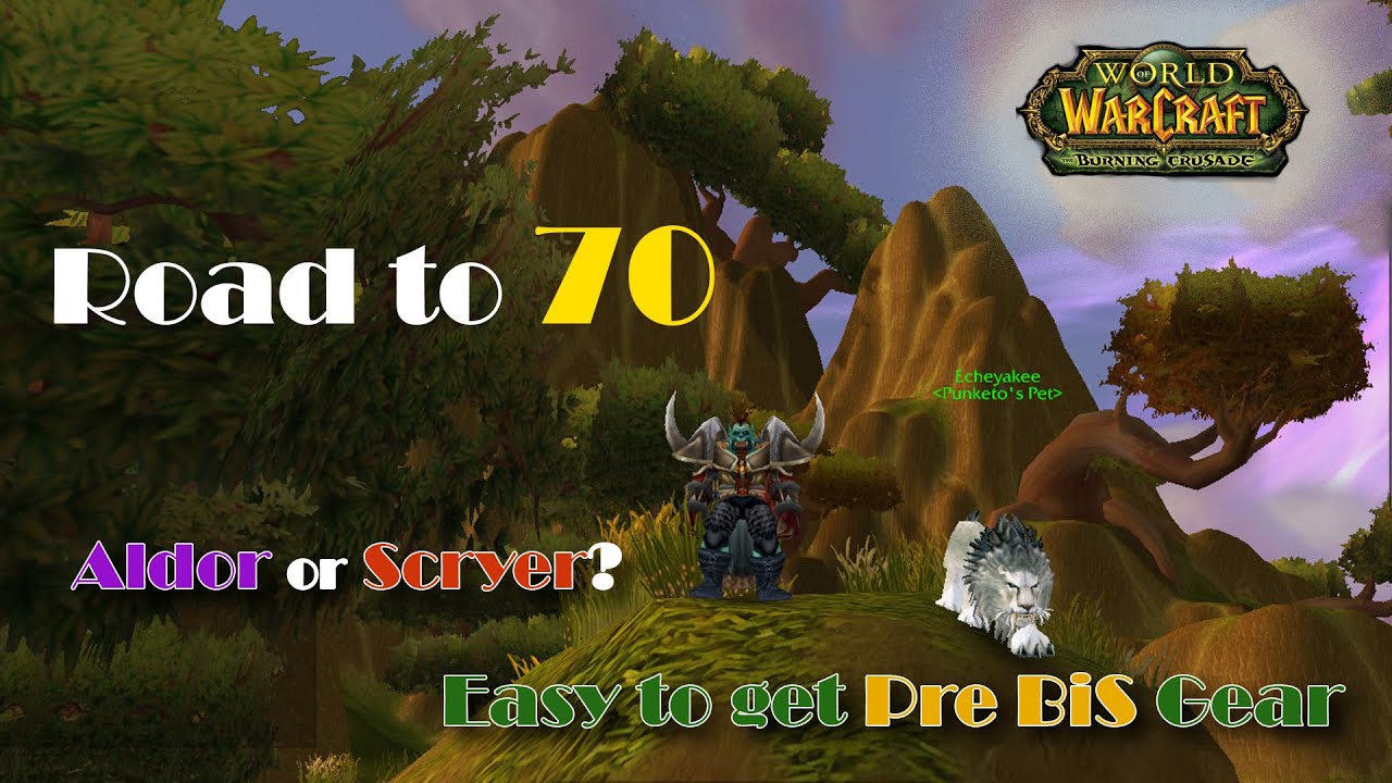 Road to 70 - Aldor vs Scryer - Pre BiS gear - BM Hunter Gear Guide