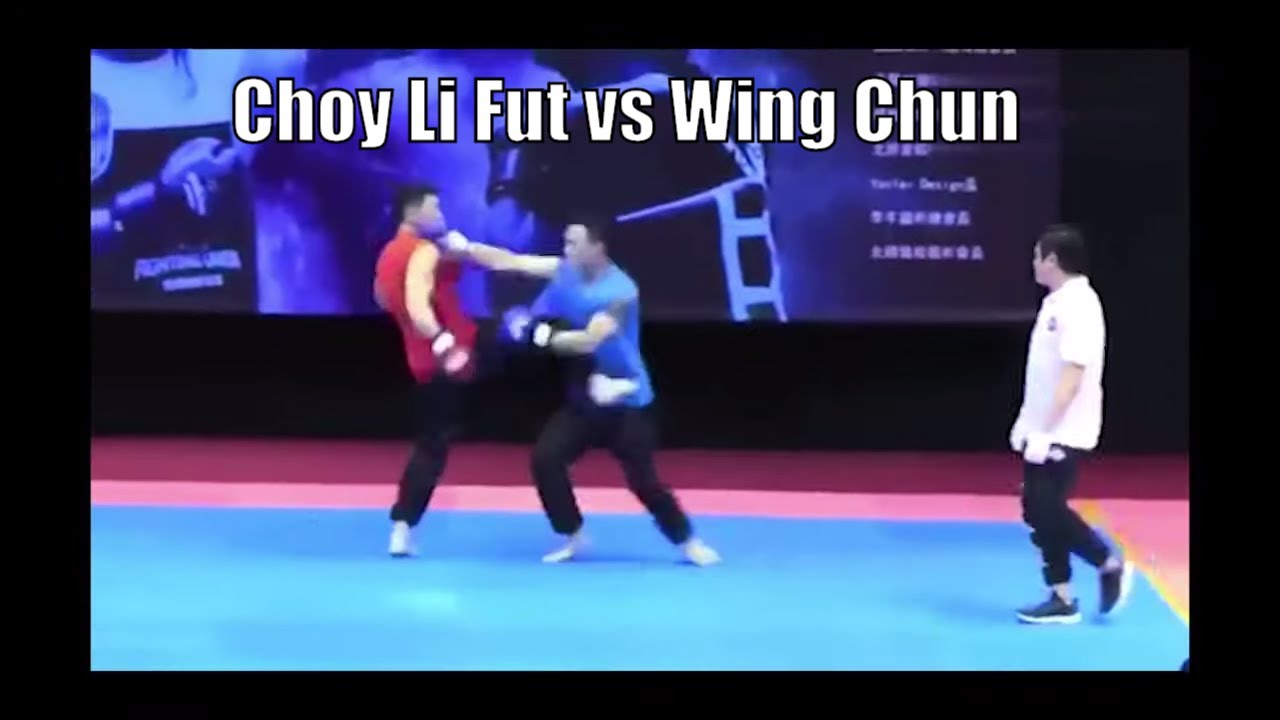 Wing Chun vs Choy Li Fut - Chinese Martial Arts Tested
