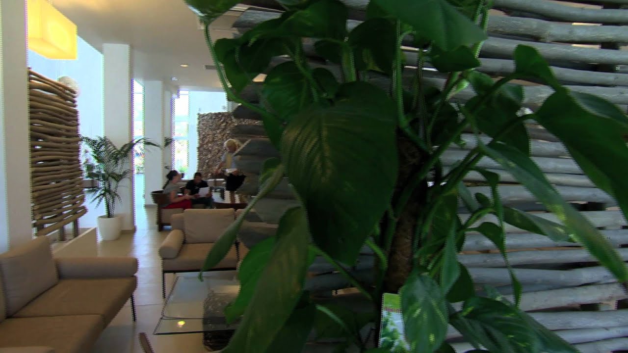 SEABANK RESORT & SPA ALL INCLUSIVE