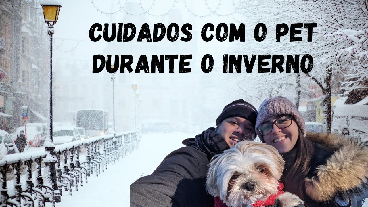 Cuidados com o cachorro no FRIO do CANADÁ! - Passeando com pet em -35 graus 🥶