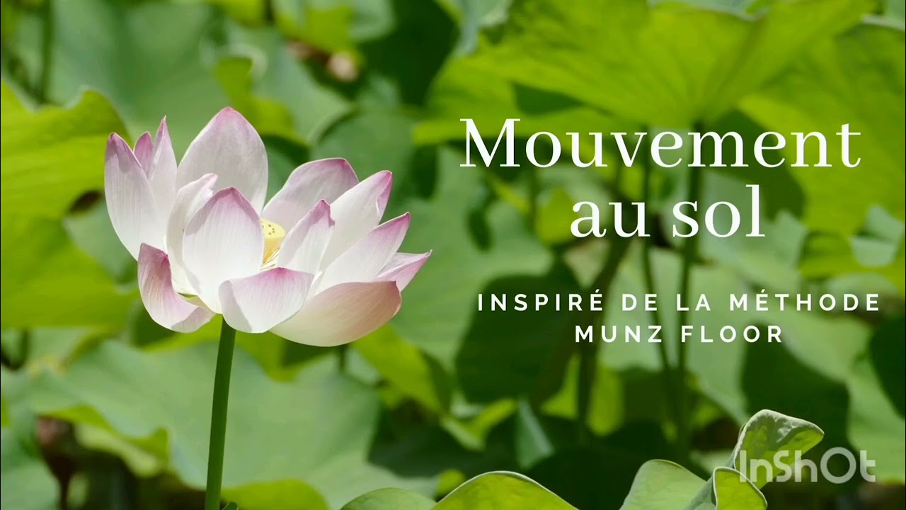 Mouvement au sol - Dos, nuque, épaules