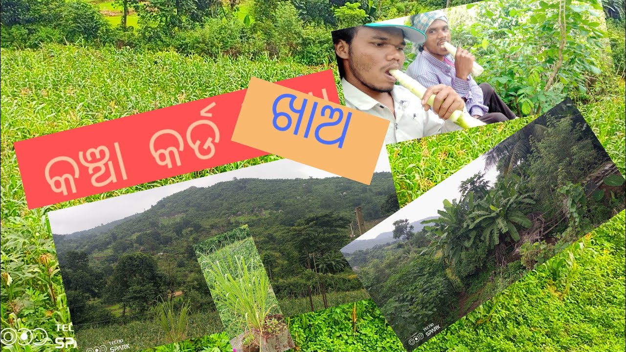 free life outside with nature/gardening/house and garden