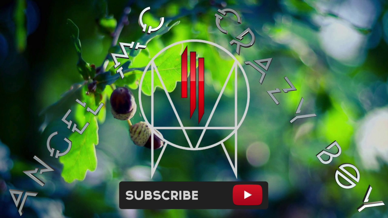 Skrillex - Intro Gallipoli (Italy) (Angel Mc & Crazy  Boy)