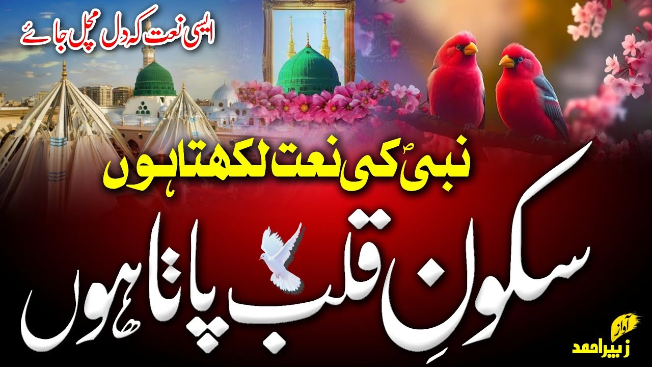 Naat Sharif 2025 | Nabi Ki Naat Likhta Hu Sukoon E Qalb Pata Hu | Best Naat