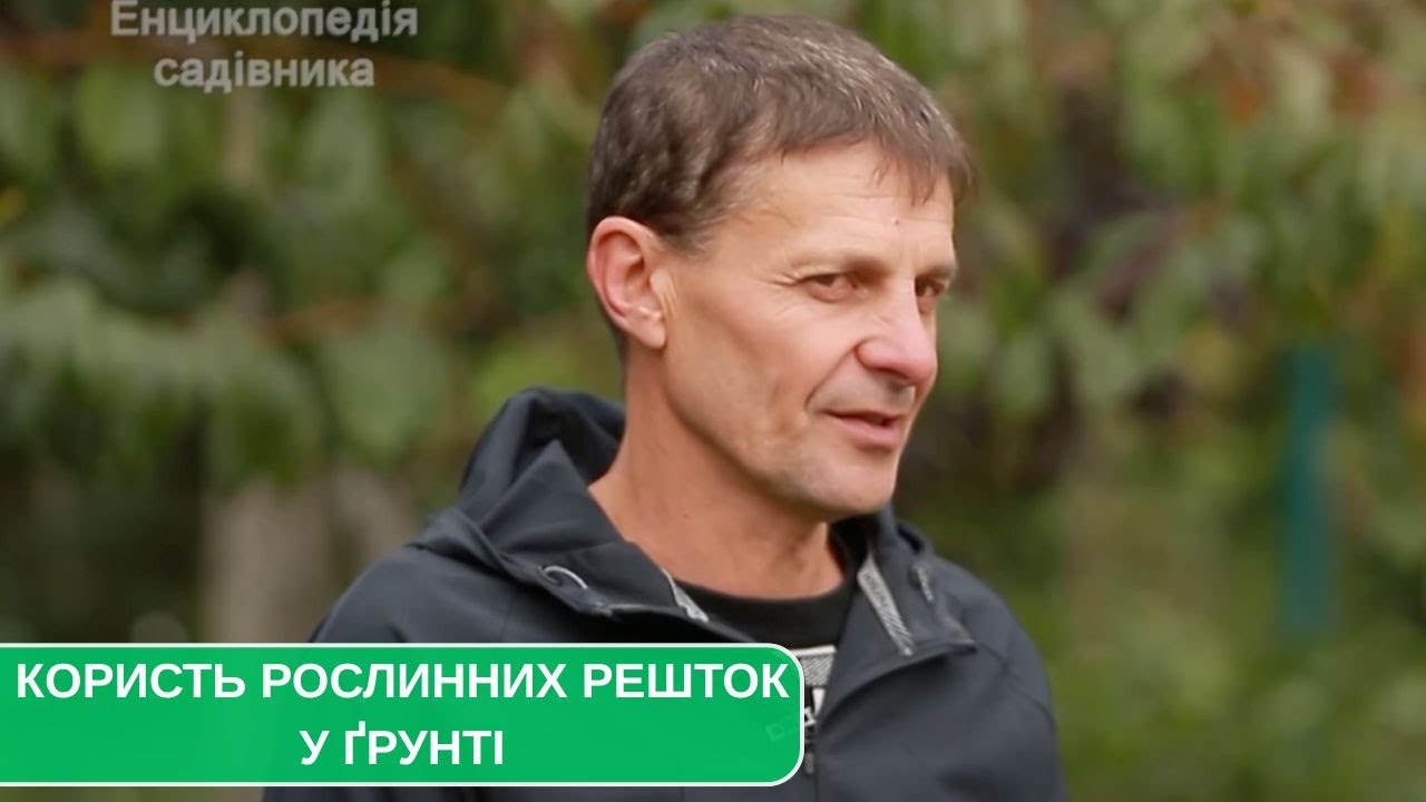 Рослинні рештки як цінне органічне добриво. Внесення соломи, бадилля та інших залишків