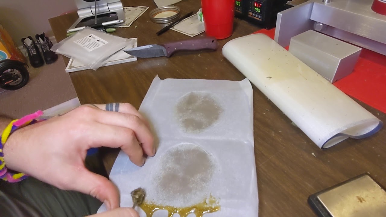 collecting rosin on parchment paper. how i do it.