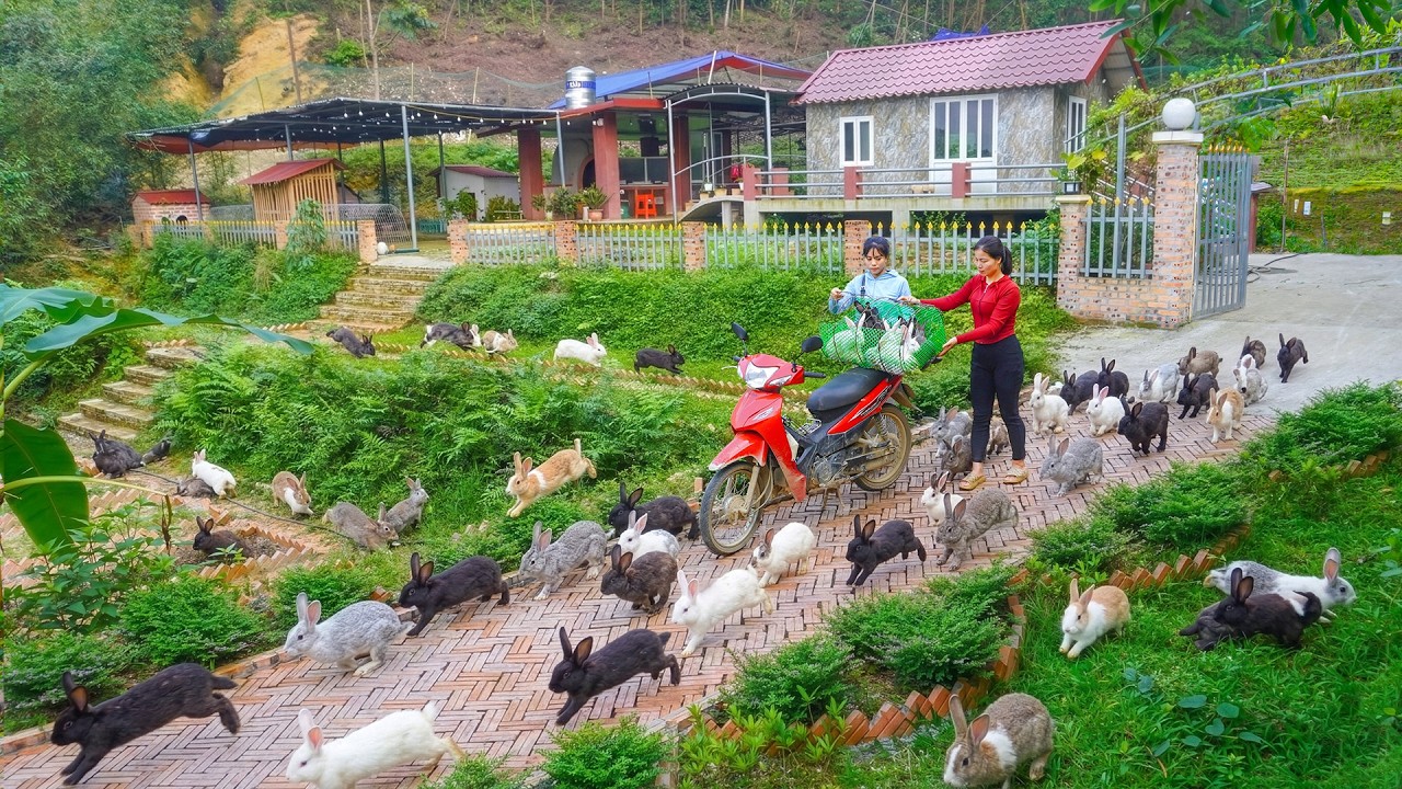 The Woman Came To The Farm To Buy Many Rabbits and Gourds, Harvest Duck Eggs and Daily Animal Care